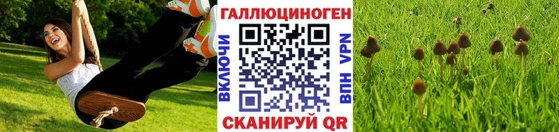 Галлюциногенные грибы прущие грибы цена наркотик blacksprut ссылки Камышлов